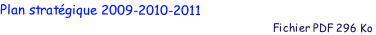 Plan strat�gique 2009-2010-2011
                                                                                           Fichier PDF 296 Ko