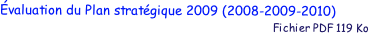 �valuation du Plan strat�gique 2009 (2008-2009-2010)
                                                                                           Fichier PDF 119 Ko
