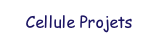 Cellule Projet.