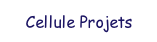 Cellule Projet.