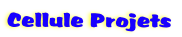 Cellule Projets
