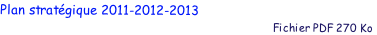 Plan stratgique 2011-2012-2013
                                                                                           Fichier PDF 270 Ko
