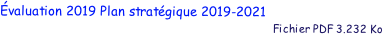 valuation 2019 Plan stratgique 2019-2021
                                                                                           Fichier PDF 3.232 Ko
