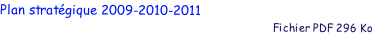 Plan stratgique 2009-2010-2011
                                                                                           Fichier PDF 296 Ko
