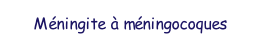 Mningites Meningocoques mise  jour - fvrier 2021.pdf.